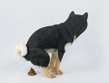 いぬズ Shiba Inu Pedigree